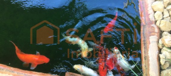 4 bedrooms House in Santarem, Portugal No. 146379 36