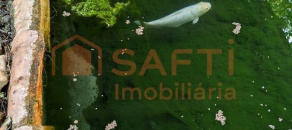 4 bedrooms House in Santarem, Portugal No. 146379 47