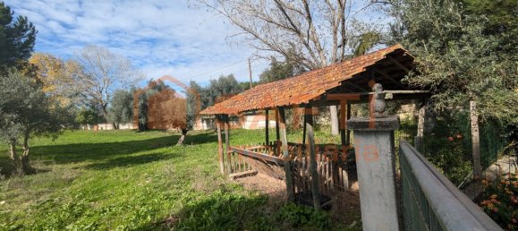 4 bedrooms House in Santarem, Portugal No. 146379 31