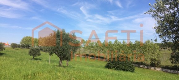 4 bedrooms House in Santarem, Portugal No. 146379 32