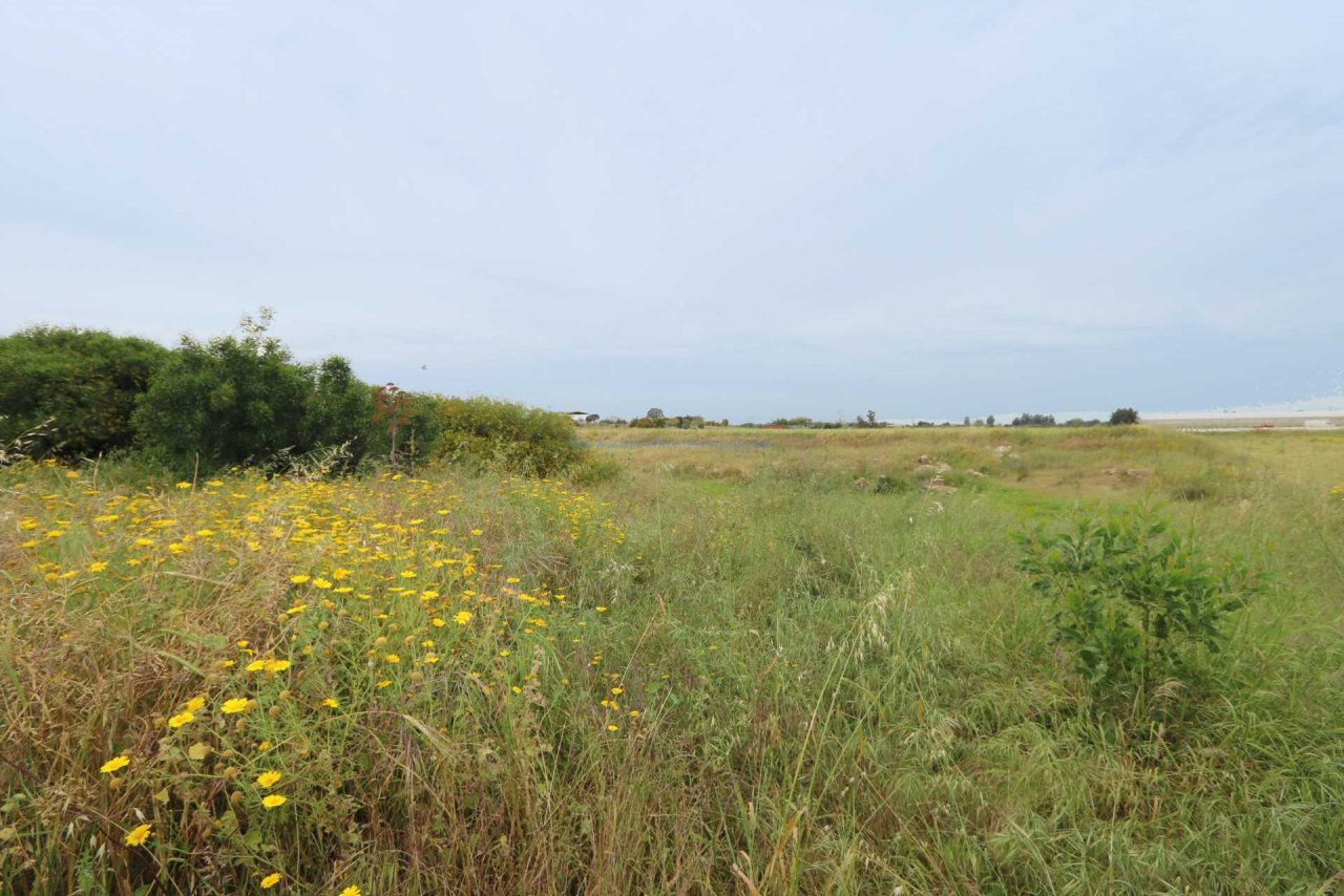 Villa en Frenaros, Cyprus No. 24124