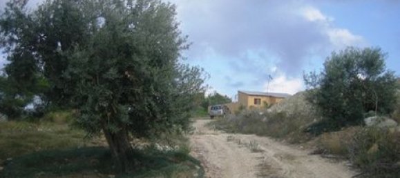 Grundstück in Benissa, Spain 18000m², Nr. 765 6