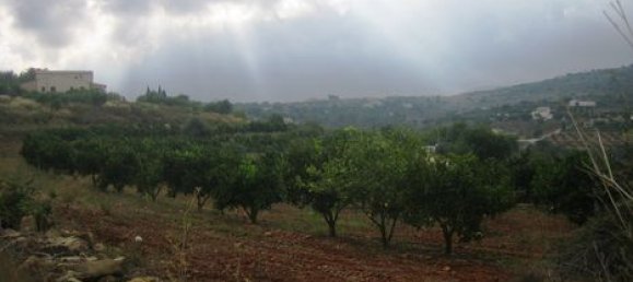 Grundstück in Benissa, Spain 18000m², Nr. 765 8