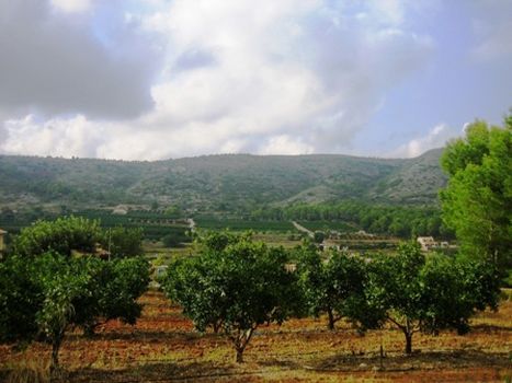 Grundstück in Benissa, Spain 18000m², Nr. 765