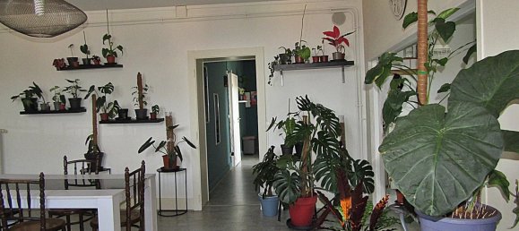 Dúplex de 1 dormitorio en Raon-l'Etape, France No. 81577 3