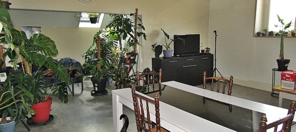 Dúplex de 1 dormitorio en Raon-l'Etape, France No. 81577 5