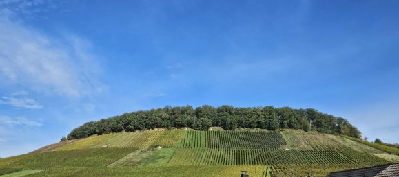 3 Schlafzimmer Stadthaus in Heilbronn, Germany, Nr. 1102 3