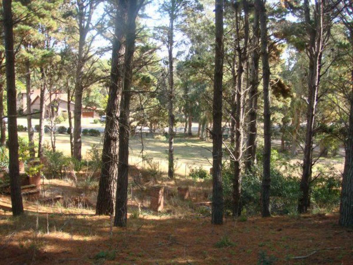  Land in Mar del Plata, Argentina No. 118056