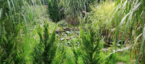 Terreno em Markisch-Oderland, Germany N.º 274871 20