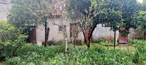 Casa de 6 dormitorios en Mortagua, Portugal No. 19075 10
