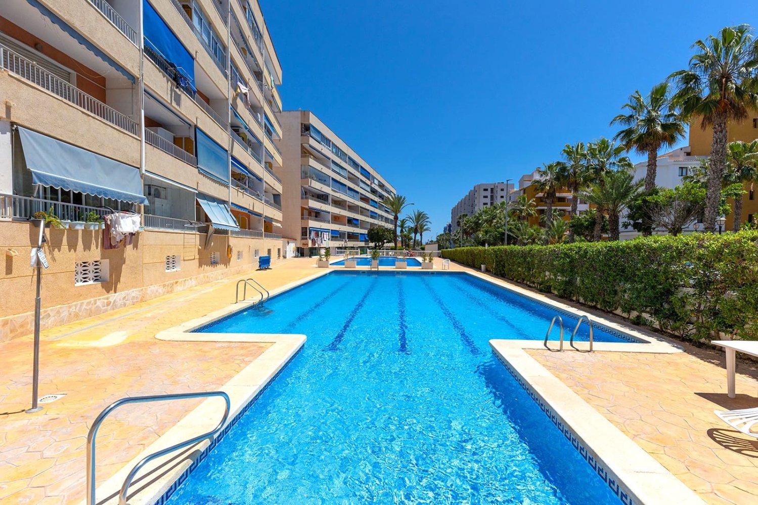 Apartamento de 1 dormitorio en Torrevieja, Spain No. 243168