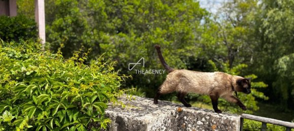 Hotel de 15 dormitorios en Torres Vedras, Portugal No. 96548 28