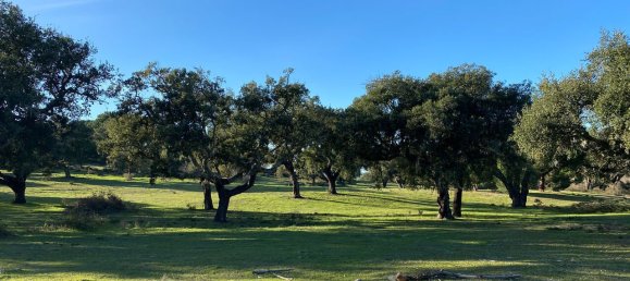 Grundstück in Palmela, Portugal, Nr. 309250 2