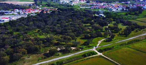 Grundstück in Palmela, Portugal, Nr. 309250 6