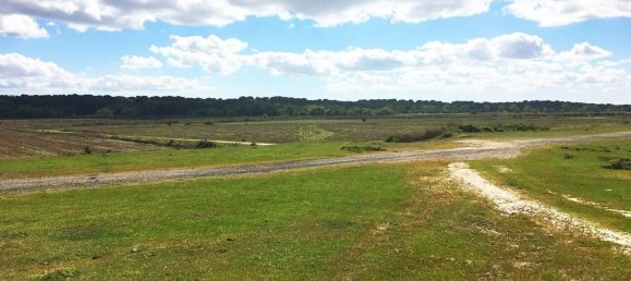 Grundstück in Palmela, Portugal, Nr. 309250 24