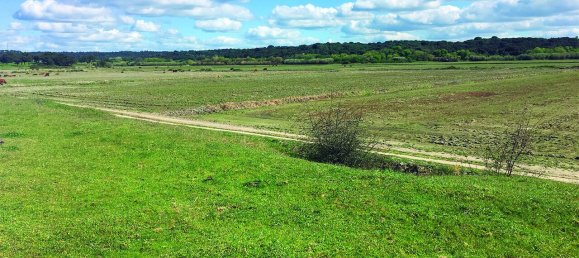 Grundstück in Palmela, Portugal, Nr. 309250 17