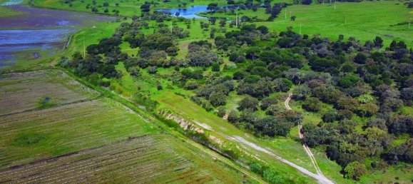 Grundstück in Palmela, Portugal, Nr. 309250 11