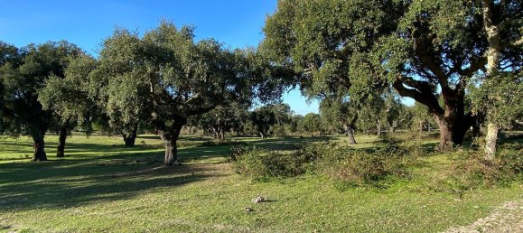 Grundstück in Palmela, Portugal, Nr. 309250 25