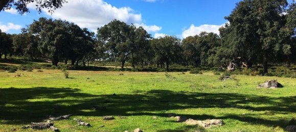 Grundstück in Palmela, Portugal, Nr. 309250 16