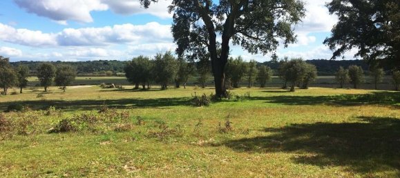 Grundstück in Palmela, Portugal, Nr. 309250 23