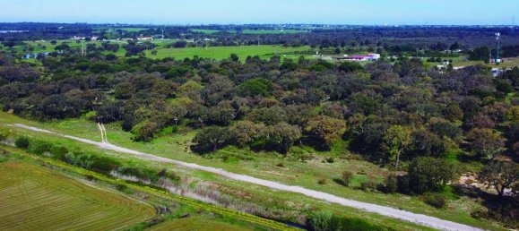 Grundstück in Palmela, Portugal, Nr. 309250 8