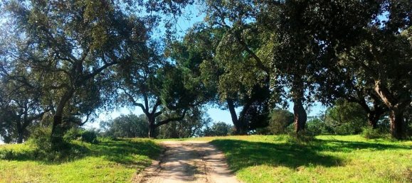 Grundstück in Palmela, Portugal, Nr. 309250 21