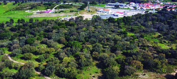 Grundstück in Palmela, Portugal, Nr. 309250 13