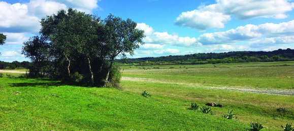 Grundstück in Palmela, Portugal, Nr. 309250 20