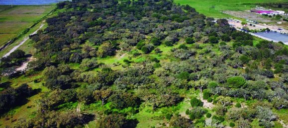 Grundstück in Palmela, Portugal, Nr. 309250 9
