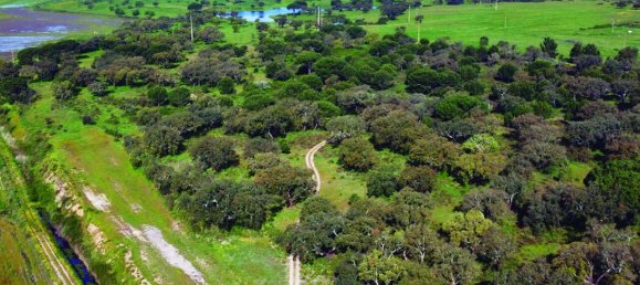 Grundstück in Palmela, Portugal, Nr. 309250 10