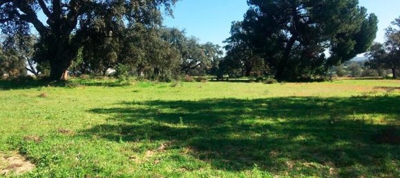 Grundstück in Palmela, Portugal, Nr. 309250 15