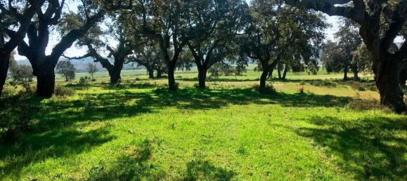 Grundstück in Palmela, Portugal, Nr. 309250 22