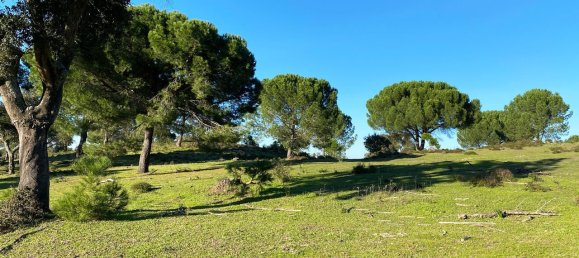 Grundstück in Palmela, Portugal, Nr. 309250 3