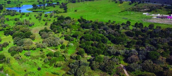 Grundstück in Palmela, Portugal, Nr. 309250 4