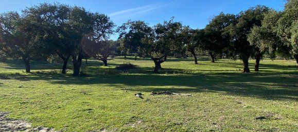 Grundstück in Palmela, Portugal, Nr. 309250 19