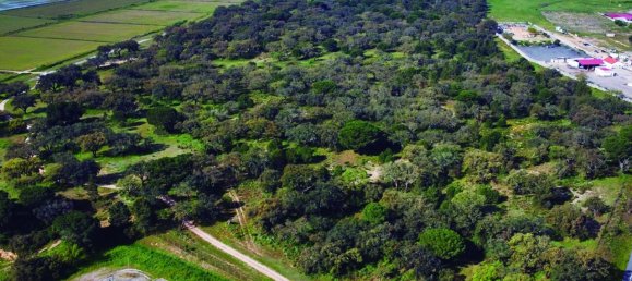 Grundstück in Palmela, Portugal, Nr. 309250 5