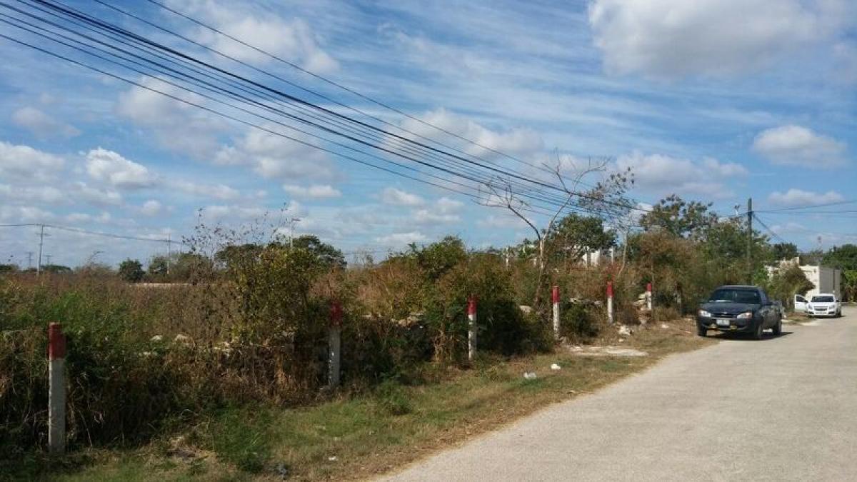  Land in Merida, Mexico No. 111120