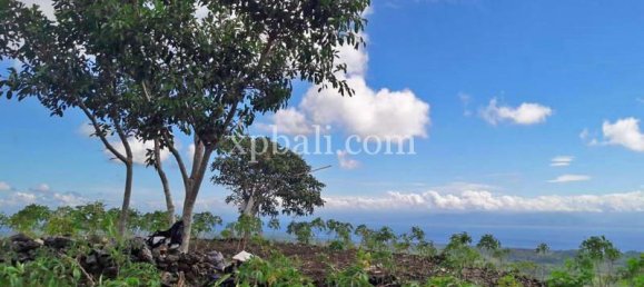 Terrain à Nusa Penida, Indonesia 2410m² No. 3787 6