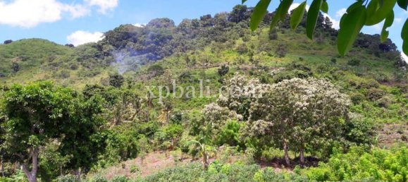 Terrain à Nusa Penida, Indonesia 2410m² No. 3787 4