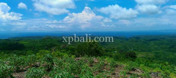 Terrain à Nusa Penida, Indonesia 2410m² No. 3787 2