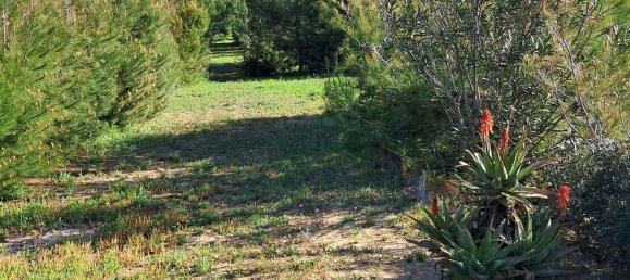 Villa de 7 divisões em Pachino, Italy N.º 67845 3