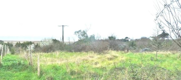 4 Schlafzimmer Villa in Arces, France, Nr. 192467 2