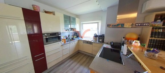 2 bedrooms Apartment in Wiener Neudorf, Austria No. 145211 4