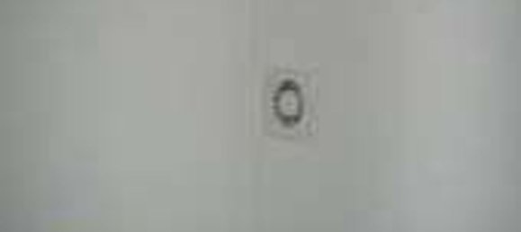 Büro in Livorno, Italy 477m², Nr. 345076 6