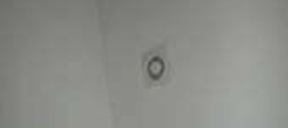 Büro in Livorno, Italy 477m², Nr. 345076 5