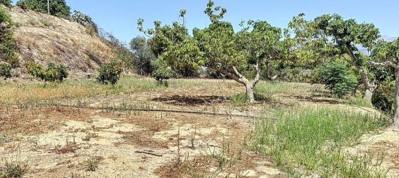 10 bedrooms House in Torre del Mar, Spain No. 55044 4