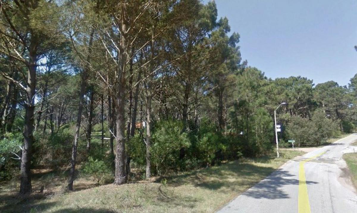  Land in Maldonado, Uruguay No. 15025