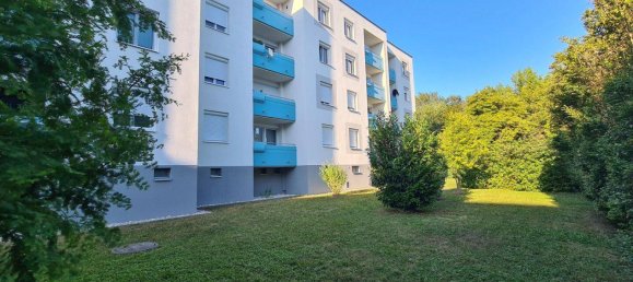 2-salle Appartement à Guntramsdorf, Austria No. 251407 12