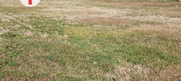 Земельный участок 1105м² в Пьяццола суль Брента, Италия № 234402 4