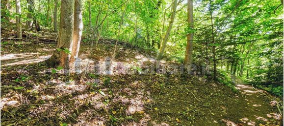 4 bedrooms House in Bellano, Italy No. 337528 36